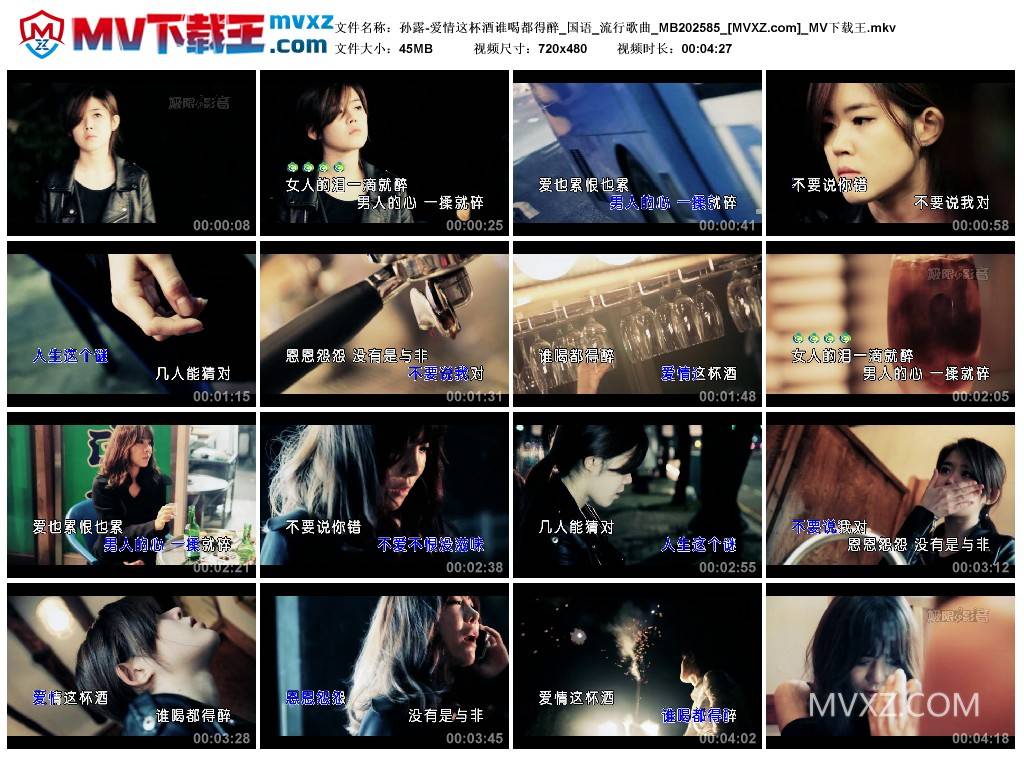 孙露-爱情这杯酒谁喝都得醉_国语_流行歌曲_MB202585